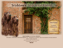 Tablet Screenshot of irishtown.hu